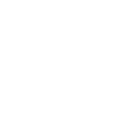 Ростовская <br> область